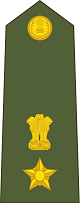 Lieutenant Colonel Insignia प्रतीक चिन्ह