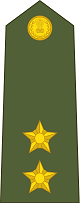 Lieutenant Insignia प्रतीक चिन्ह